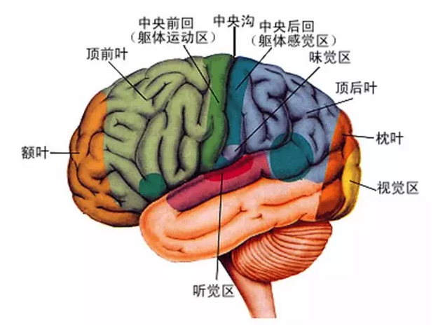 經顱磁刺激治療你知道多少？